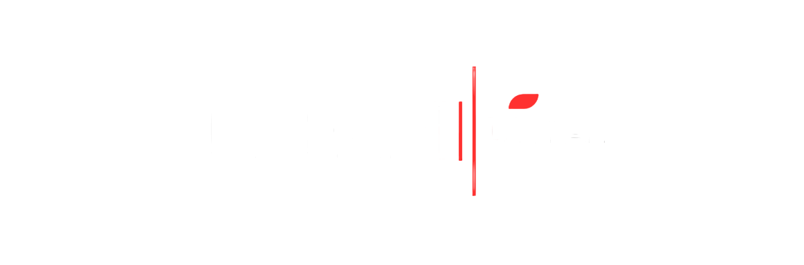 DreamDijital.com